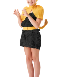 Kids Lion King Simba Accessory Kit