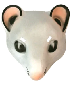 Adult Mouse Facepiece