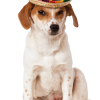 Sombrero Hat Dog Costume