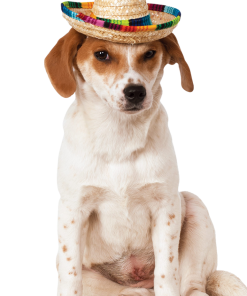 Sombrero Hat Dog Costume