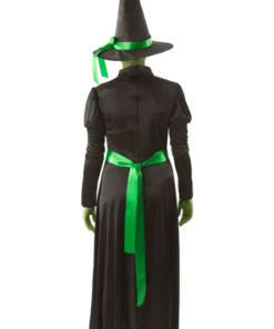 Adult Wicked Witch Halloween Costume -Joke Store 00015570a02