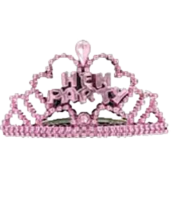 GENERIC 6 Pink Mini Hen Party Tiaras
